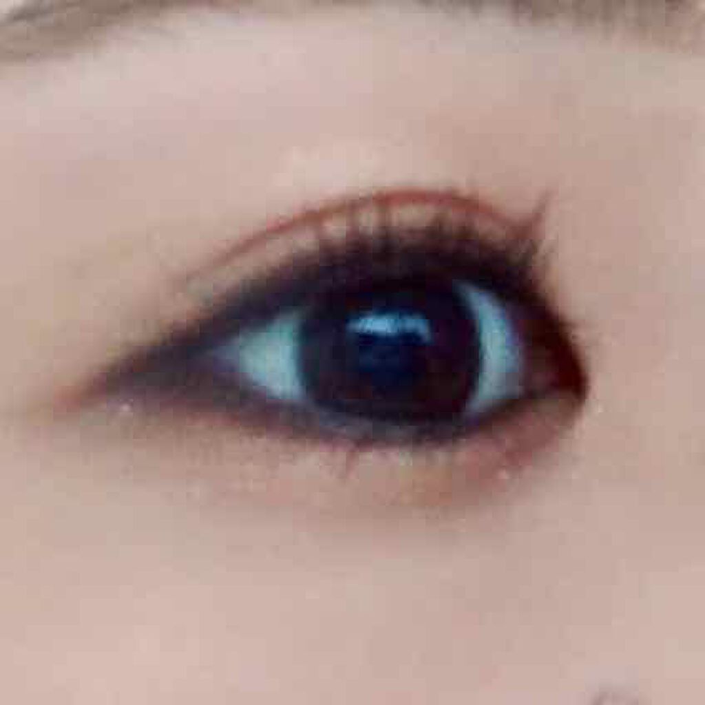 sou on LIPS 「先日購入したGinaの付録のアイシャドウ&リップでメイクをしま..」(2枚目)