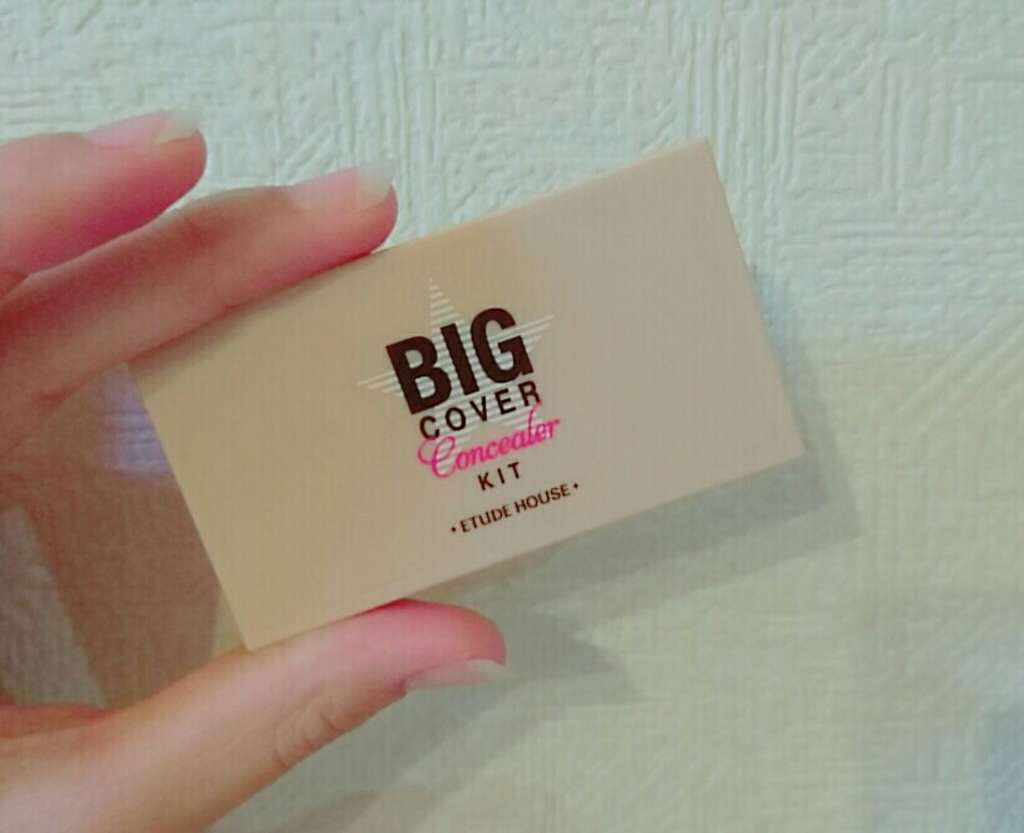 miyui on LIPS 「エチュードハウスビッグカバーコンシーラーキットこちらは値段は忘..」(1枚目)