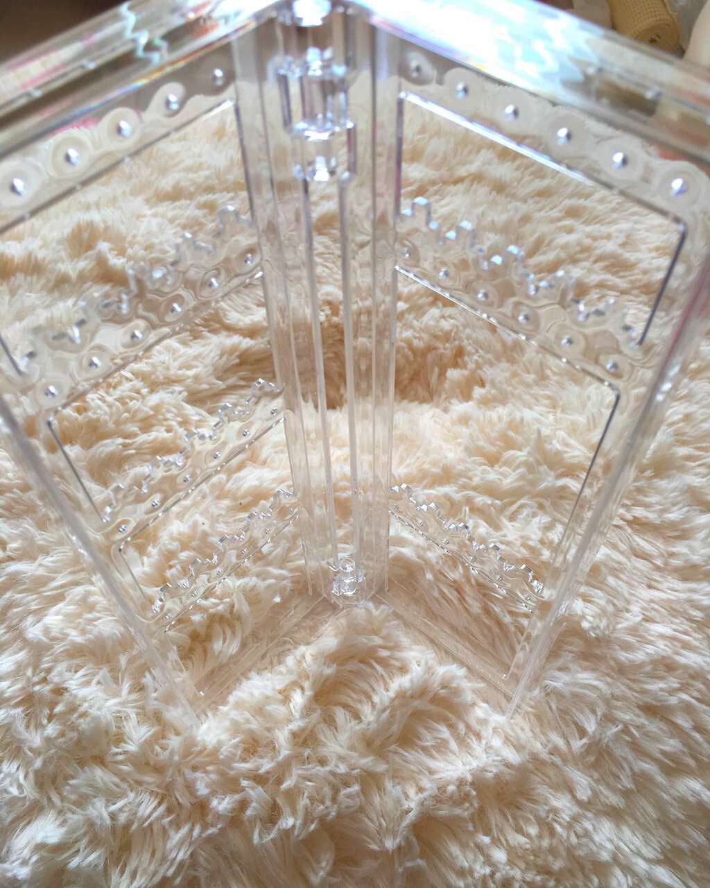 アクセサリー スタンド/キャンドゥ/その他を使ったクチコミ（2枚目）