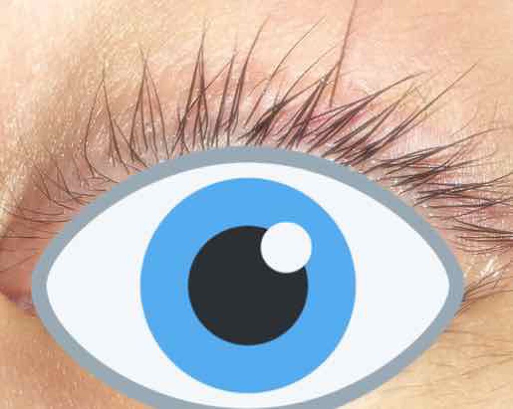 ラッシュケアエッセンス/キャンメイク/まつげ美容液を使ったクチコミ(3枚目)