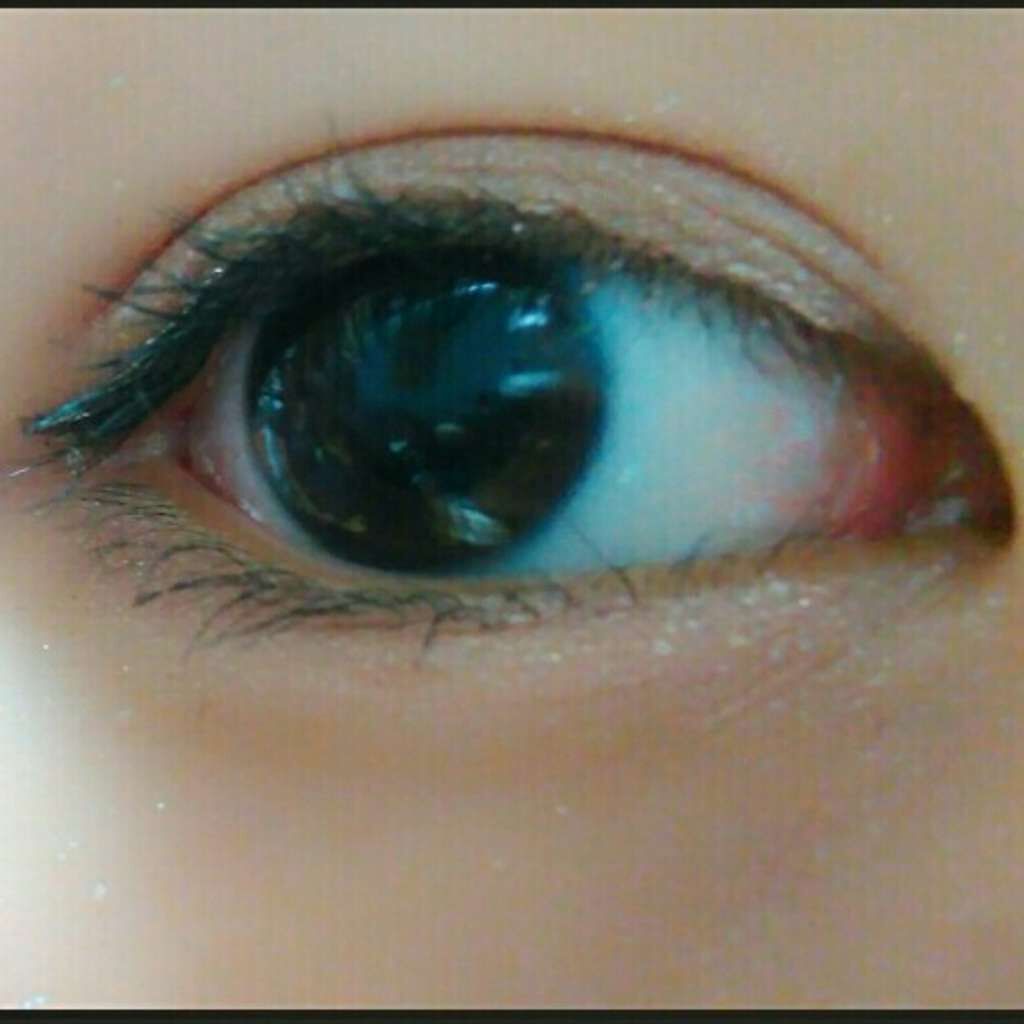 グロウフルールチークス/キャンメイク/パウダーチークを使ったクチコミ（1枚目）