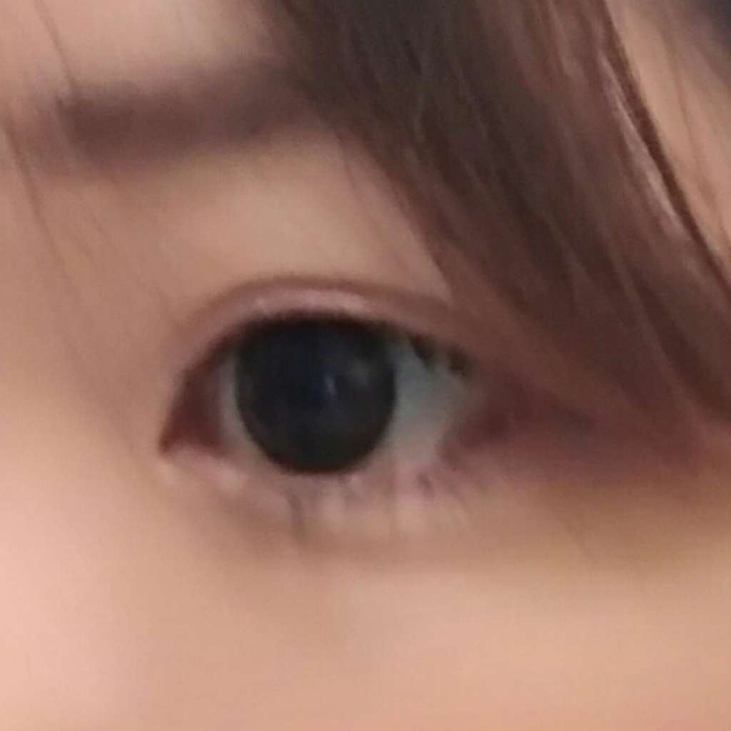 FAIRY ONE DAY(ナチュラル／プリンセス)/FAIRY/カラーコンタクトレンズを使ったクチコミ（2枚目）