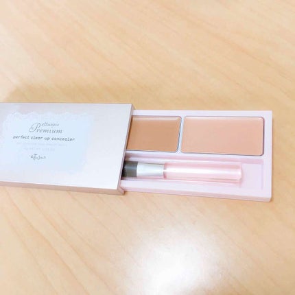 プレミアム パーフェクトクリアコンシーラー/ettusais/パレットコンシーラーを使ったクチコミ(1枚目)