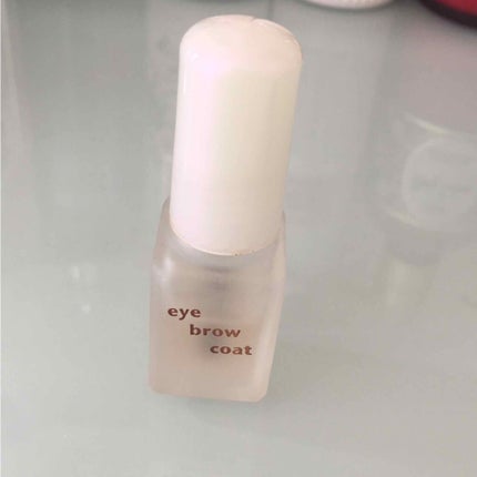 エバビレーナ アイブローコート/DAISO/アイブロウコートを使ったクチコミ(1枚目)