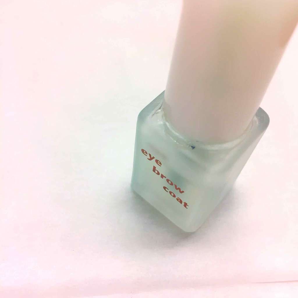 エバビレーナ アイブローコート/DAISO/アイブロウコートを使ったクチコミ(1枚目)