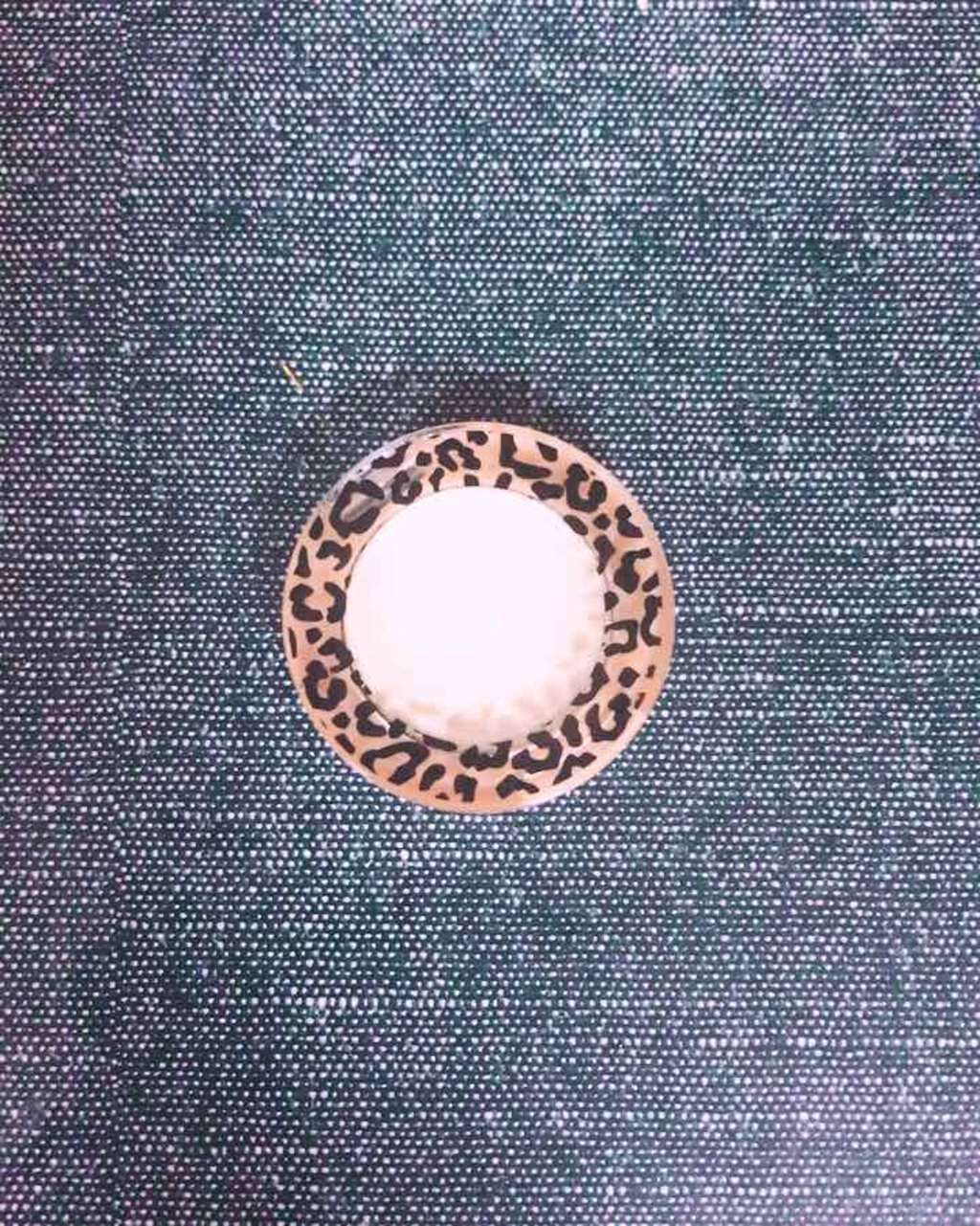 MPアニマルキラキラジェムアイス/キャンドゥ/単色アイシャドウを使ったクチコミ（1枚目）