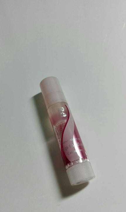 リップフォンデュ/メンソレータム/リップバームを使ったクチコミ(1枚目)