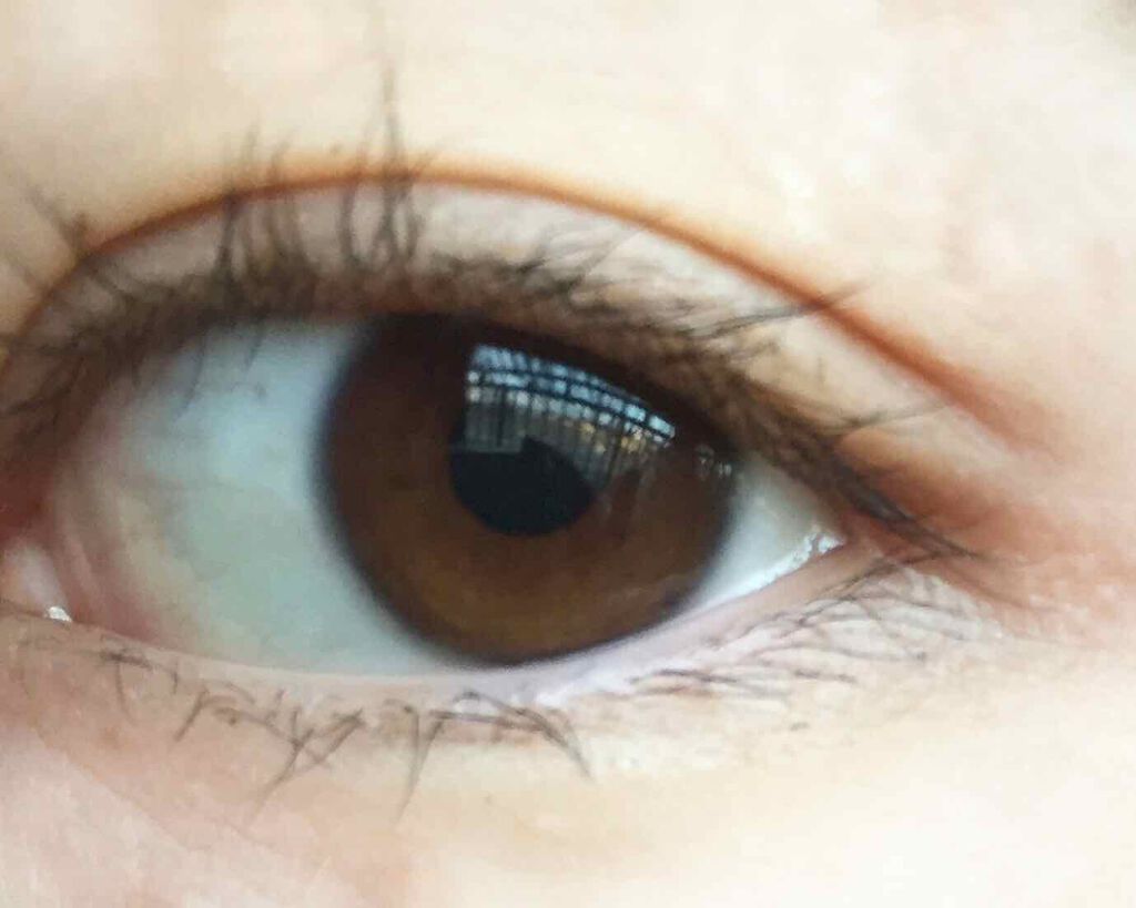 ラッシュニスタ オイリシャス/MAYBELLINE NEW YORK/マスカラを使ったクチコミ(2枚目)