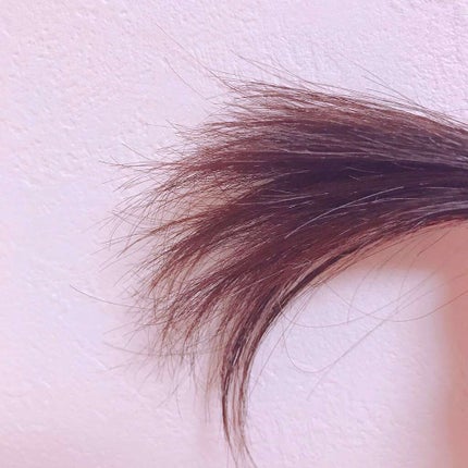 イオ クリーム メルトリペア/LebeL/洗い流すヘアトリートメントを使ったクチコミ(2枚目)