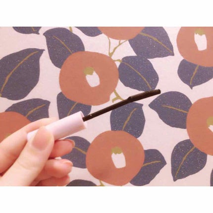 クイックラッシュカーラー/キャンメイク/マスカラ下地を使ったクチコミ(2枚目)