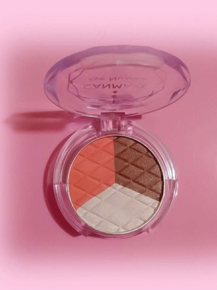 アイニュアンス/キャンメイク/アイシャドウパレットを使ったクチコミ(1枚目)