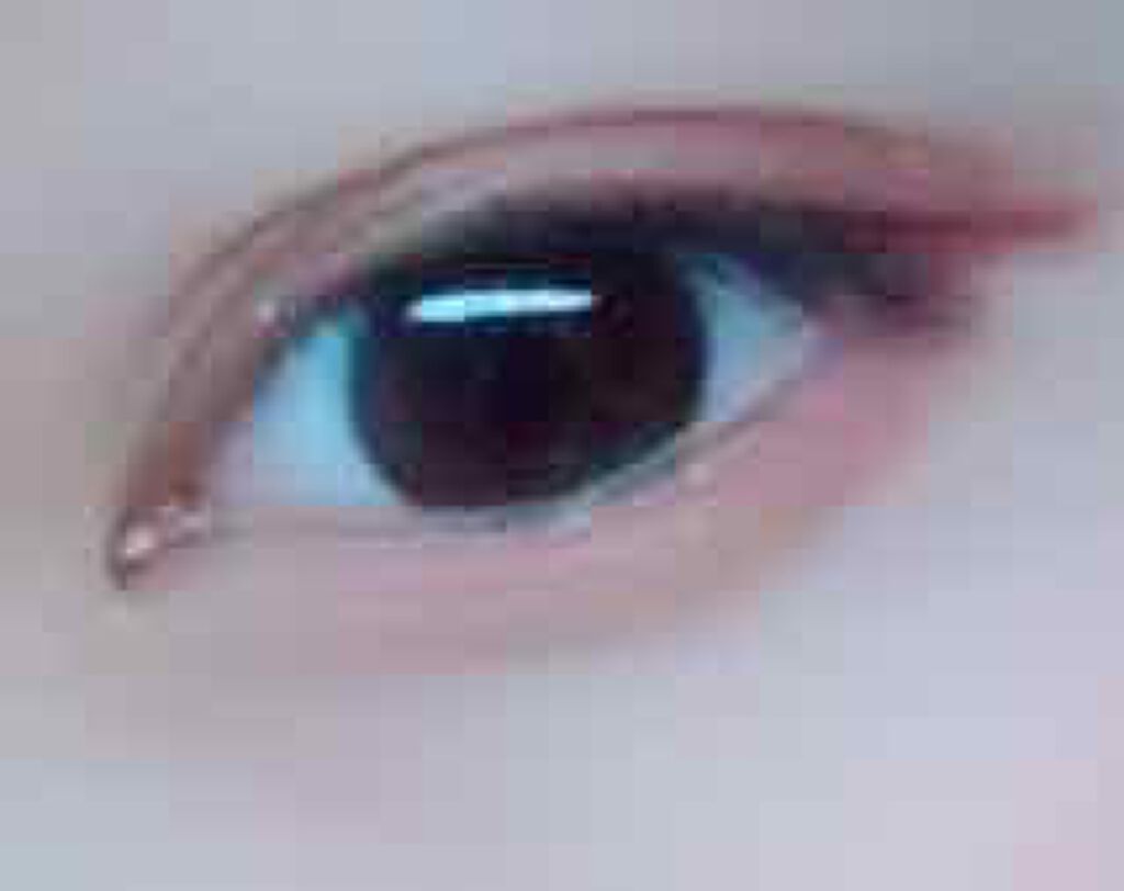 【旧品】パウダーチークス/キャンメイク/パウダーチークを使ったクチコミ(2枚目)