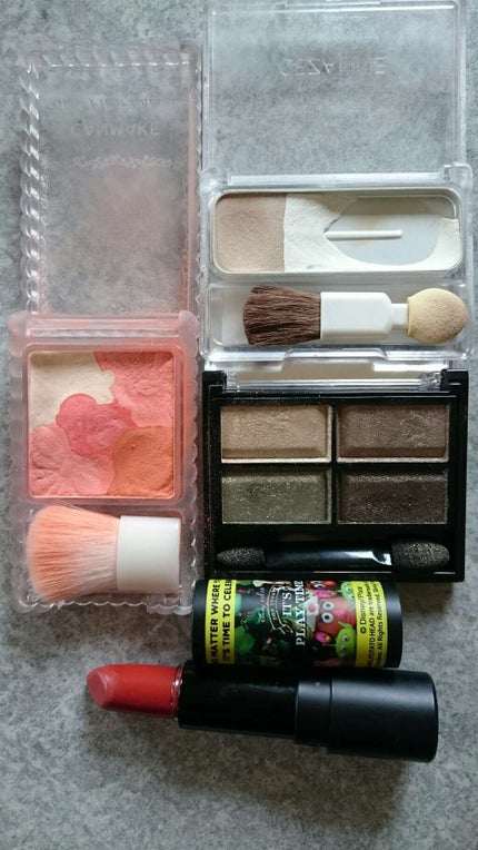 DNリップカラー/SHOBIDO/口紅を使ったクチコミ(1枚目)