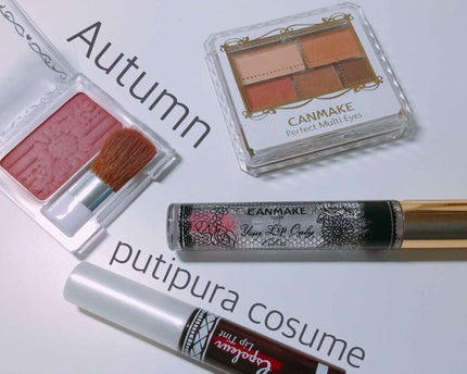 ユアリップオンリーグロス/キャンメイク/リップグロスを使ったクチコミ(1枚目)