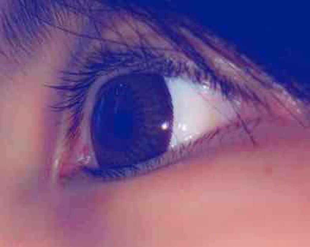 エバーカラーワンデーナチュラル モイストレーベルUV/エバーカラー/ワンデー（１DAY）カラコンを使ったクチコミ（3枚目）