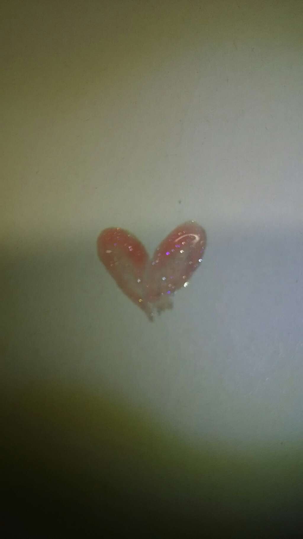 エッセンスリップグロス/ヴァーナル/リップグロスを使ったクチコミ（3枚目）