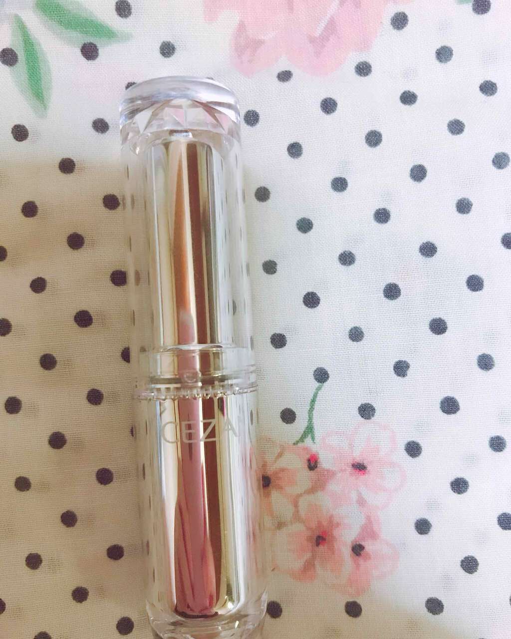 ラスティンググロスリップ/CEZANNE/口紅を使ったクチコミ(1枚目)