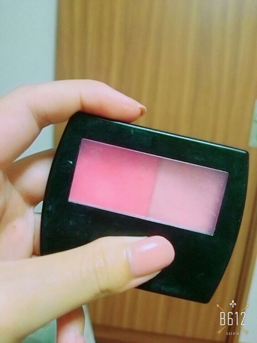 エルファー プリンセスデュオカラーチーク A/DAISO/パウダーチークを使ったクチコミ(1枚目)