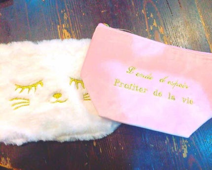 ポーチ/DAISO/その他を使ったクチコミ(1枚目)