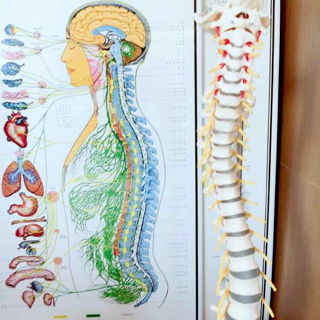 ザ・コラーゲン リラクル<ゼリー>/ザ・コラーゲン/ゼリー飲料を使ったクチコミ(3枚目)