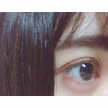 ネオサイトワンデー リングUV ブラウン/Aire/ワンデー(1DAY)カラコンを使ったクチコミ(2枚目)