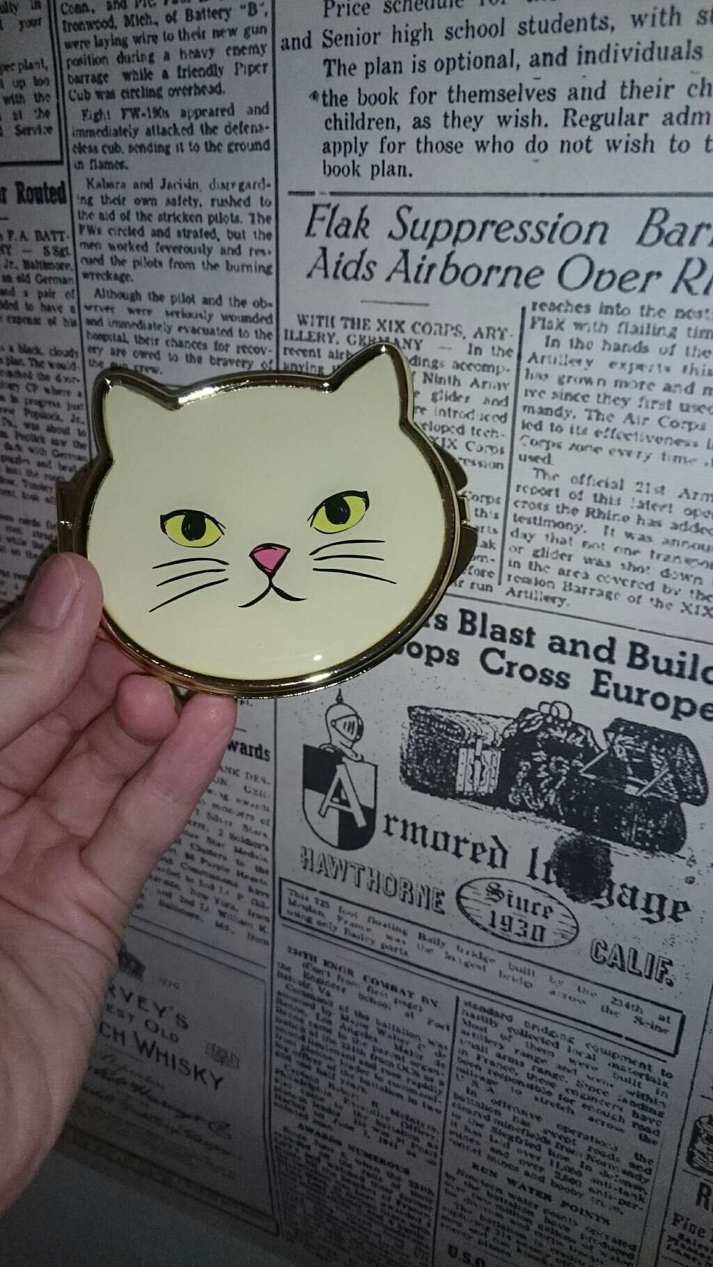 キャットミラー/DAISO/その他化粧小物を使ったクチコミ（1枚目）