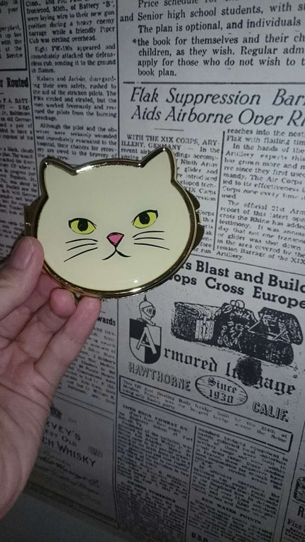 キャットミラー/DAISO/その他化粧小物を使ったクチコミ(1枚目)