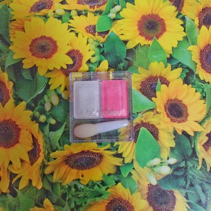 ツーカラー アイシャドウ ラメシリーズ/CEZANNE/アイシャドウパレットを使ったクチコミ(1枚目)