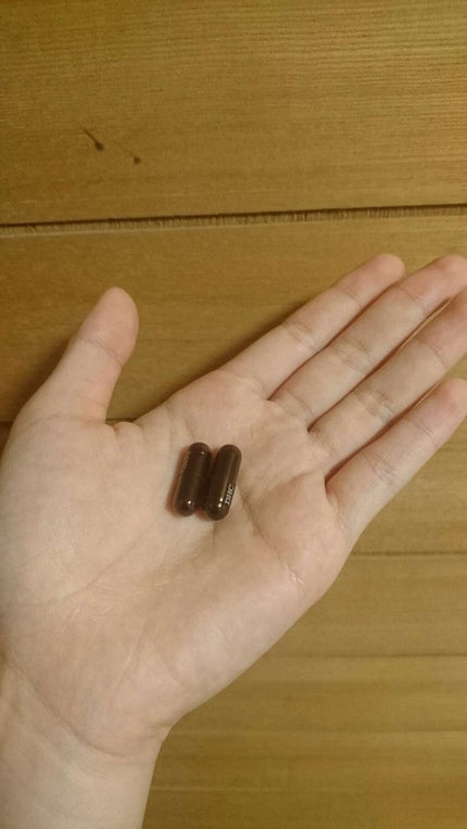 DHC ヘム鉄/DHC/健康サプリメントを使ったクチコミ(2枚目)