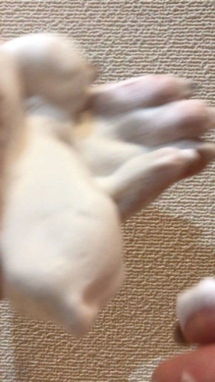 ニベア クリームケア洗顔料 とてもしっとり/ニベア/洗顔フォームを使ったクチコミ(3枚目)