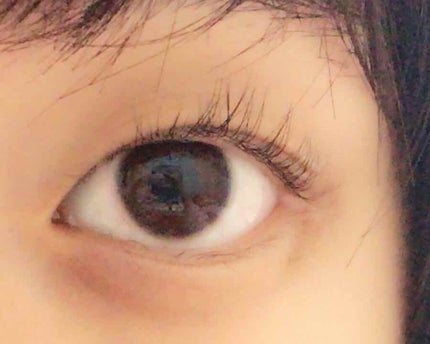 エッジフリー アイラッシュカーラー/マキアージュ/ビューラーを使ったクチコミ(4枚目)