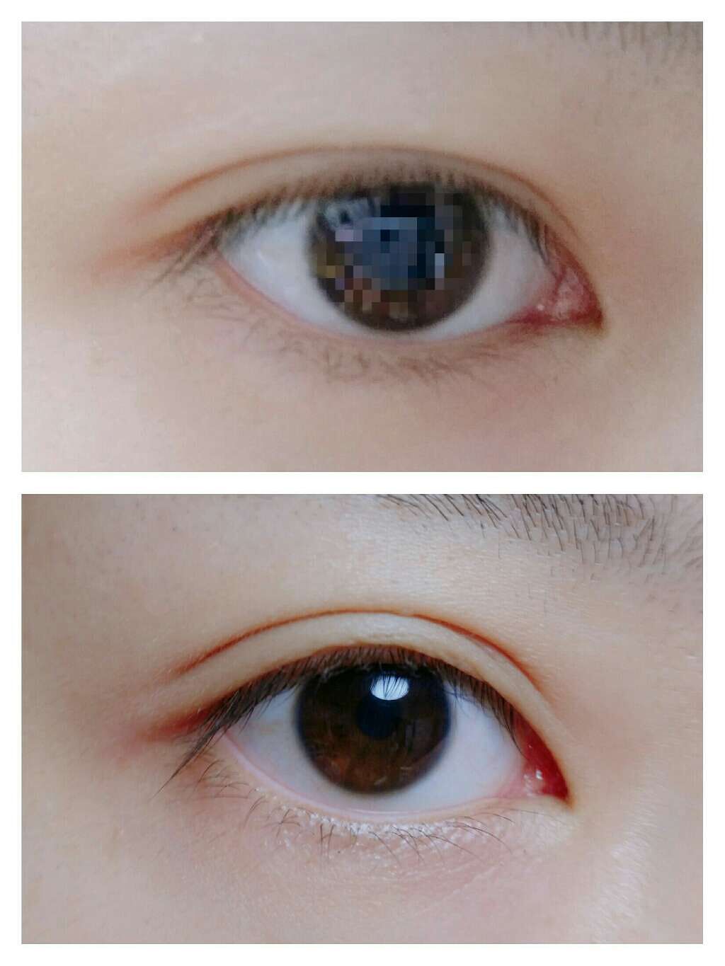 アイラッシュフィクサーEX 552/D-UP/つけまつげを使ったクチコミ(1枚目)