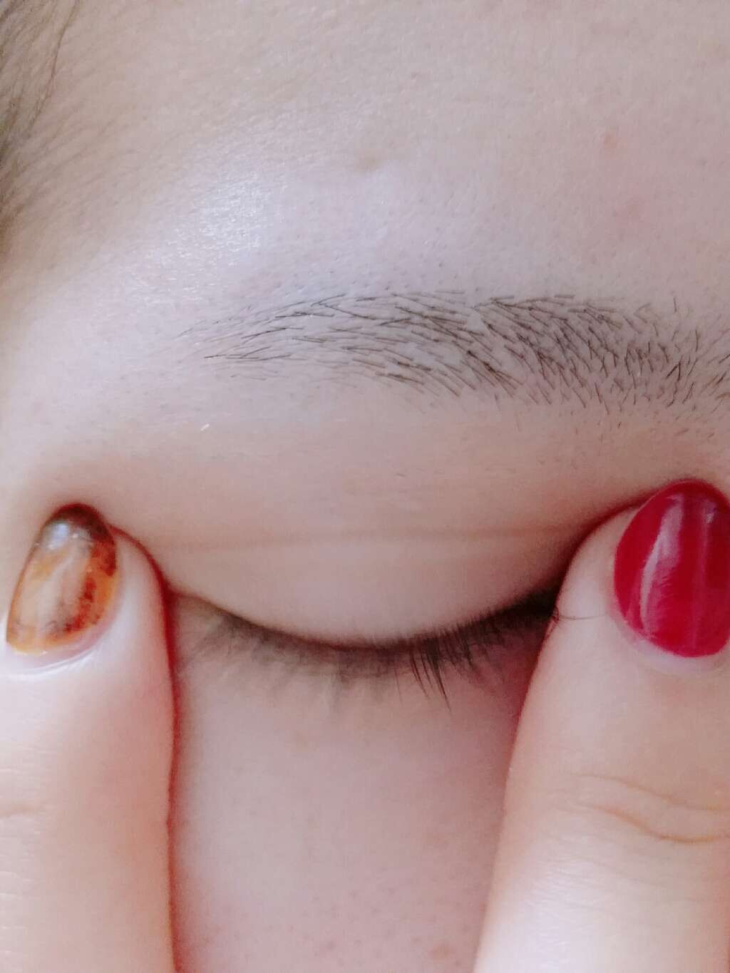 アイラッシュフィクサーEX 552/D-UP/つけまつげを使ったクチコミ(2枚目)