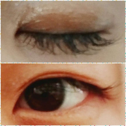 うるプチふたえグルー/キコラボメイク/二重まぶた用アイテムを使ったクチコミ(2枚目)