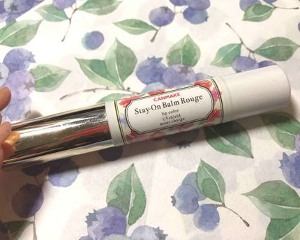 ステイオンバームルージュ/キャンメイク/口紅を使ったクチコミ(1枚目)