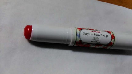 ステイオンバームルージュ/キャンメイク/口紅を使ったクチコミ(1枚目)