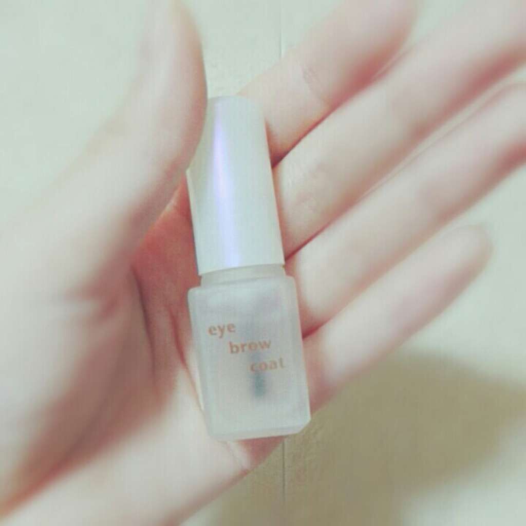 エバビレーナ アイブローコート/DAISO/アイブロウコートを使ったクチコミ(1枚目)