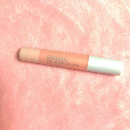 リップコンシーラー モイスト イン/キャンメイク/スティックコンシーラーを使ったクチコミ(1枚目)