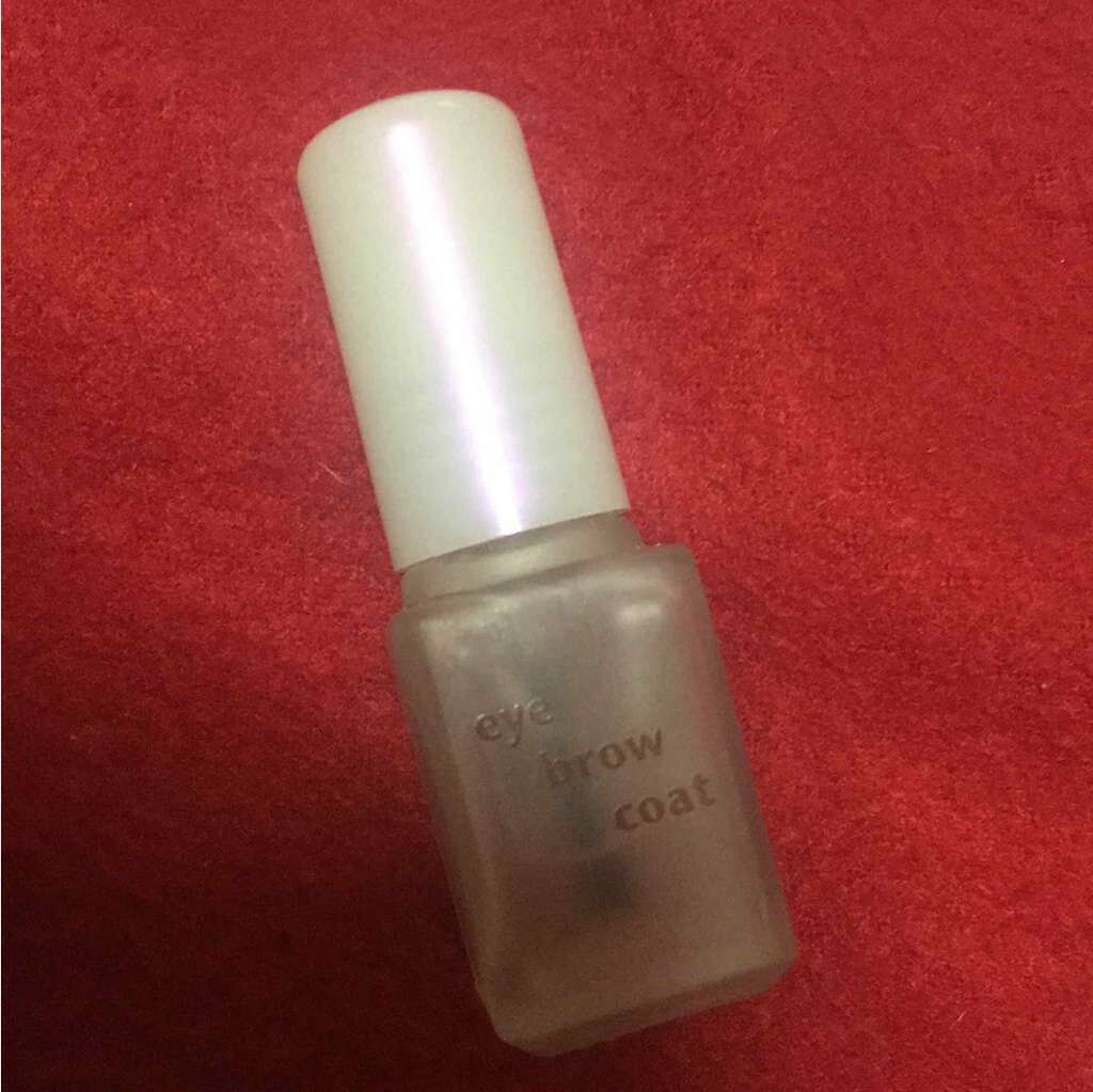 エバビレーナ アイブローコート/DAISO/アイブロウコートを使ったクチコミ(1枚目)