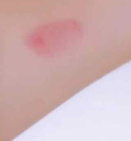 エスポルール リップティント/エスポルール/リップティントを使ったクチコミ(2枚目)