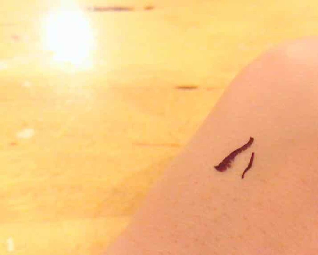 スムースリキッドアイライナー スーパーキープ/ヒロインメイク/リキッドアイライナーを使ったクチコミ（3枚目）