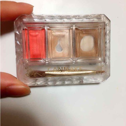 シークレットカラーアイズ/キャンメイク/アイシャドウパレットを使ったクチコミ(1枚目)