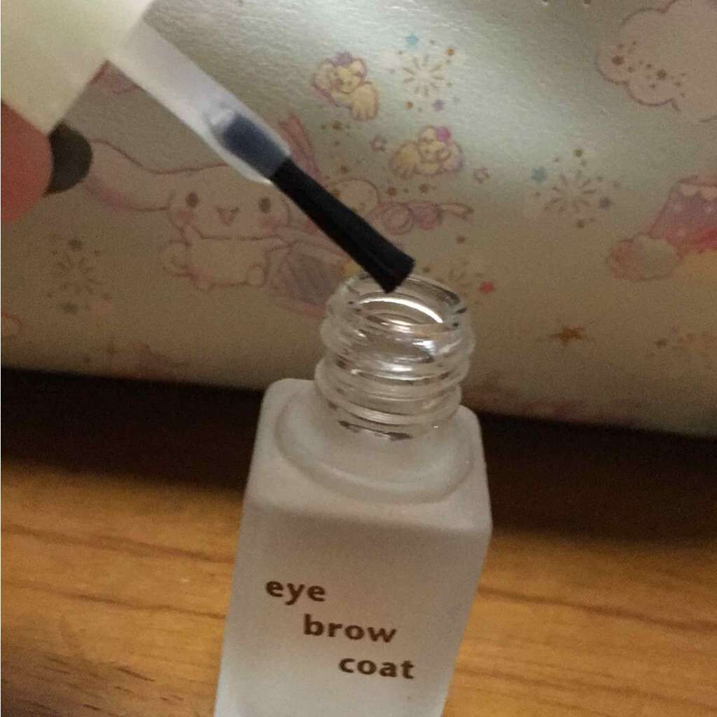 エバビレーナ アイブローコート/DAISO/アイブロウコートを使ったクチコミ(2枚目)