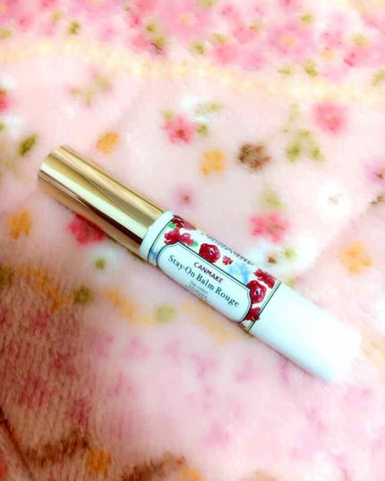 ステイオンバームルージュ/キャンメイク/口紅を使ったクチコミ(2枚目)