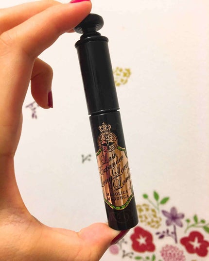 ラッシュエキスパンダー ロングロングロング/MAJOLICA MAJORCA/マスカラを使ったクチコミ(1枚目)