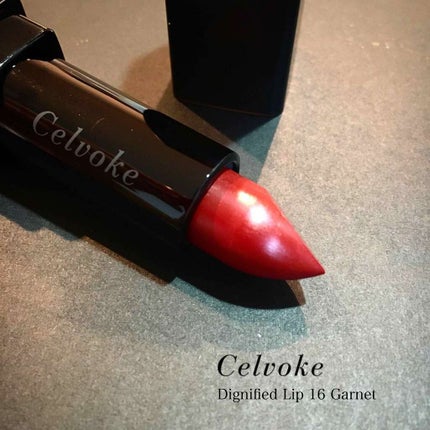 ディグニファイド リップス/Celvoke/口紅を使ったクチコミ(2枚目)