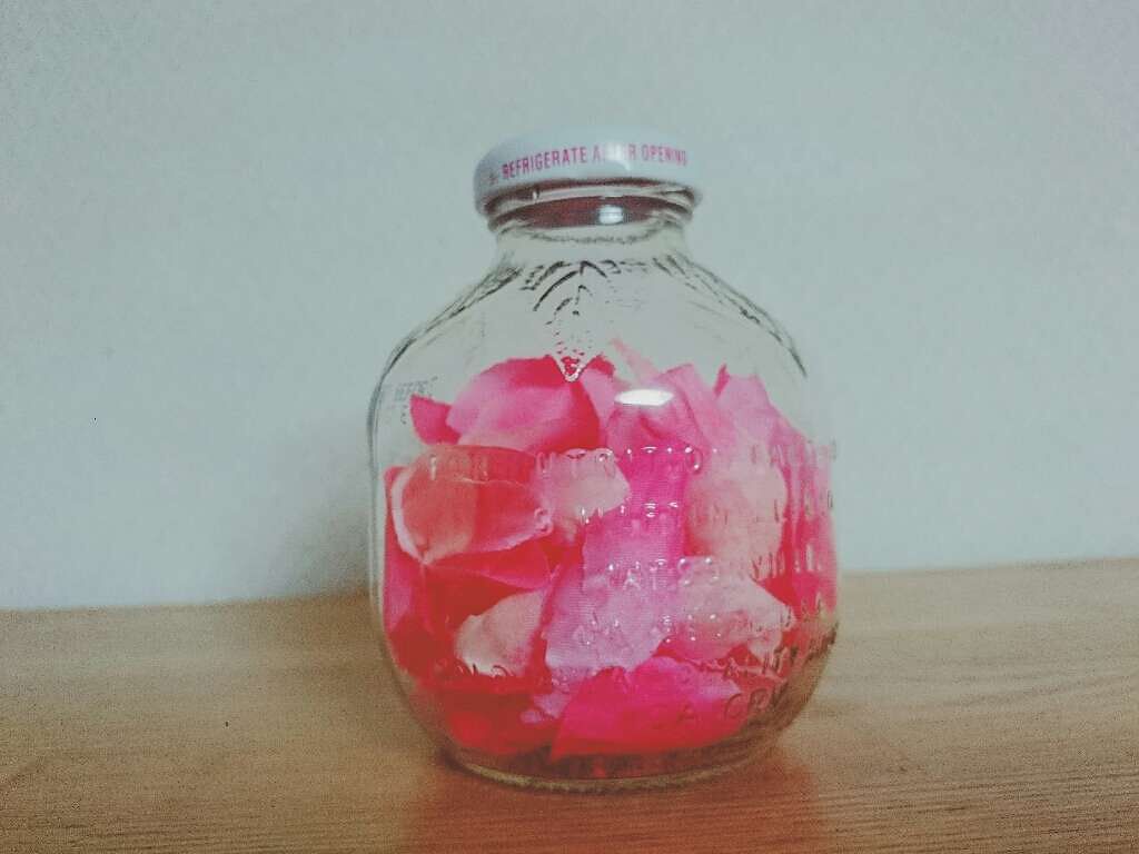 エルファー プリンセスデュオカラーチーク A/DAISO/パウダーチークを使ったクチコミ（1枚目）