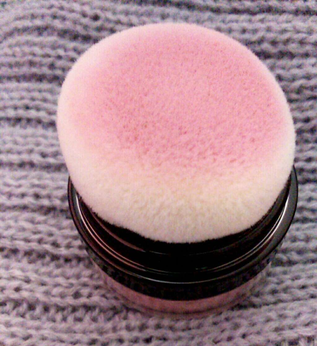 ポンポンミネラルチーク/エトヴォス/パウダーチークを使ったクチコミ(2枚目)