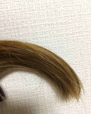 フレッシュライト 泡タイプカラー(かんたんポンプ)のクチコミ「【アッシュな部分染めヘアカラー】
フレッシュライト
シュガーアッシュ

泡で出るので自分でも簡.....」（2枚目）