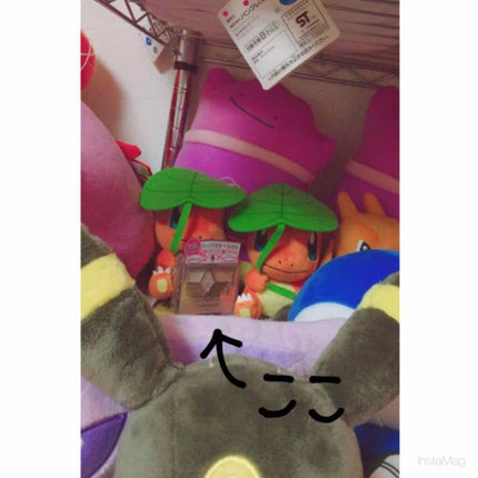 【旧品】パーフェクトスタイリストアイズ/キャンメイク/アイシャドウパレットを使ったクチコミ(2枚目)